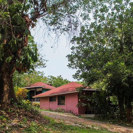 Winika Alterra Villa Palenque Eksteriør bilde