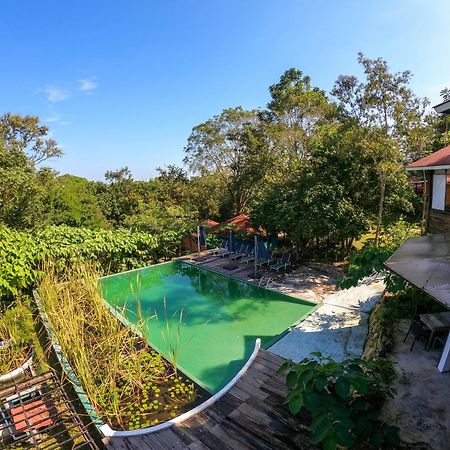 Winika Alterra Villa Palenque Eksteriør bilde