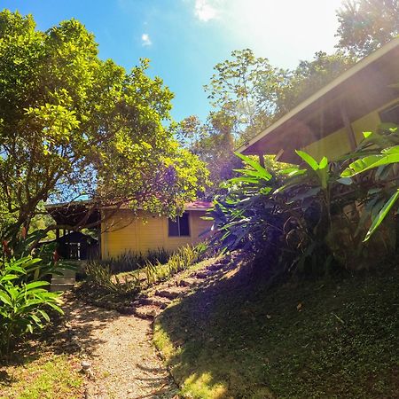 Winika Alterra Villa Palenque Eksteriør bilde