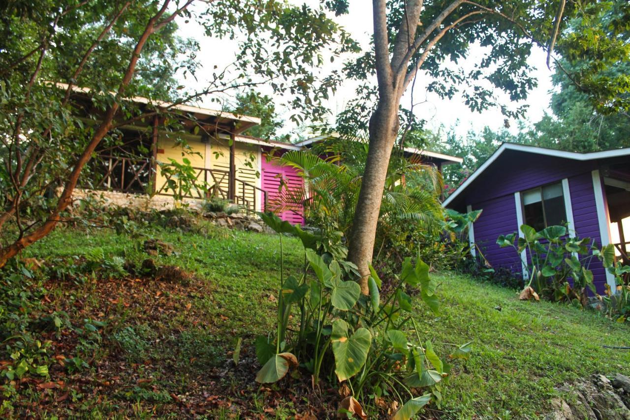 Winika Alterra Villa Palenque Eksteriør bilde