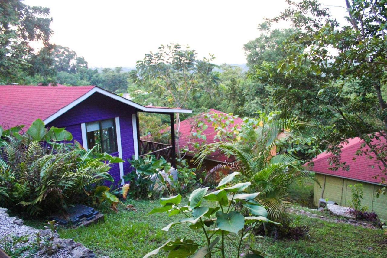 Winika Alterra Villa Palenque Eksteriør bilde