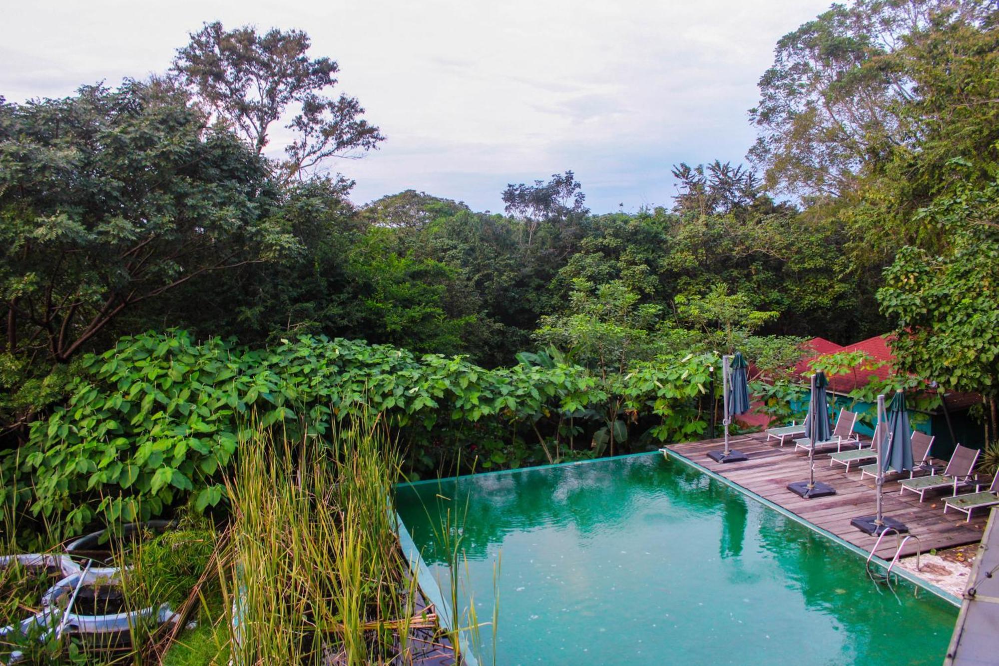 Winika Alterra Villa Palenque Eksteriør bilde