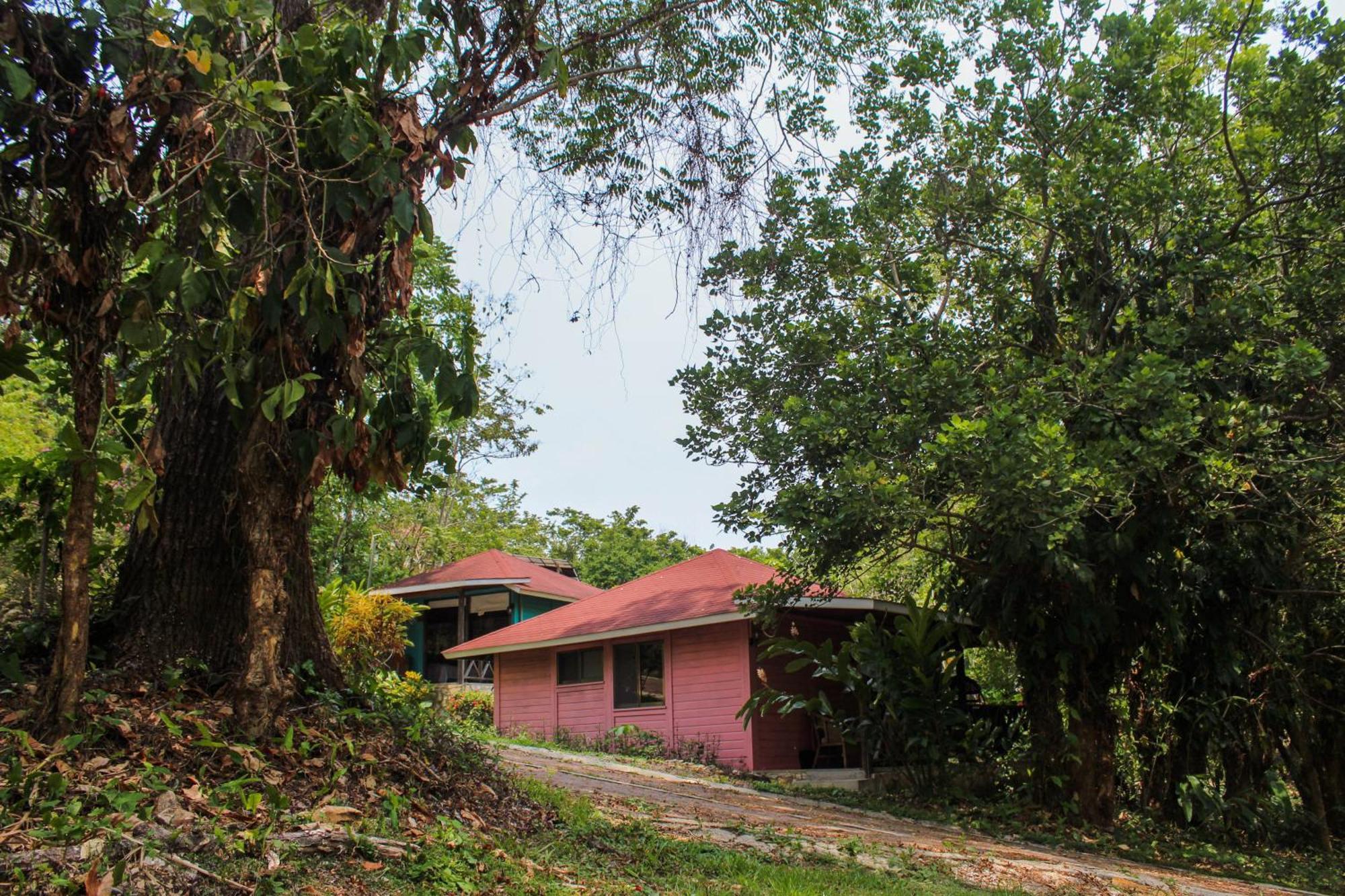 Winika Alterra Villa Palenque Eksteriør bilde