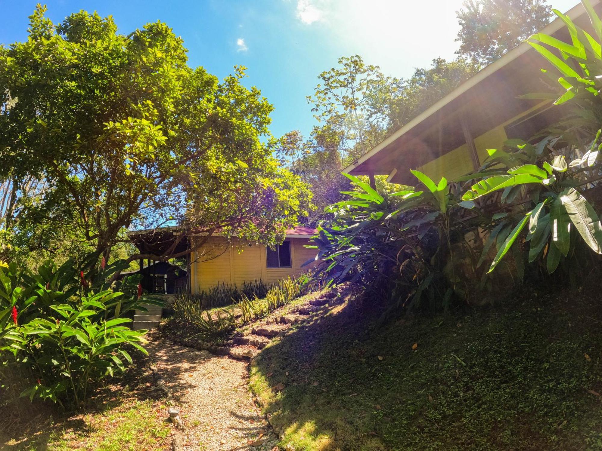 Winika Alterra Villa Palenque Eksteriør bilde