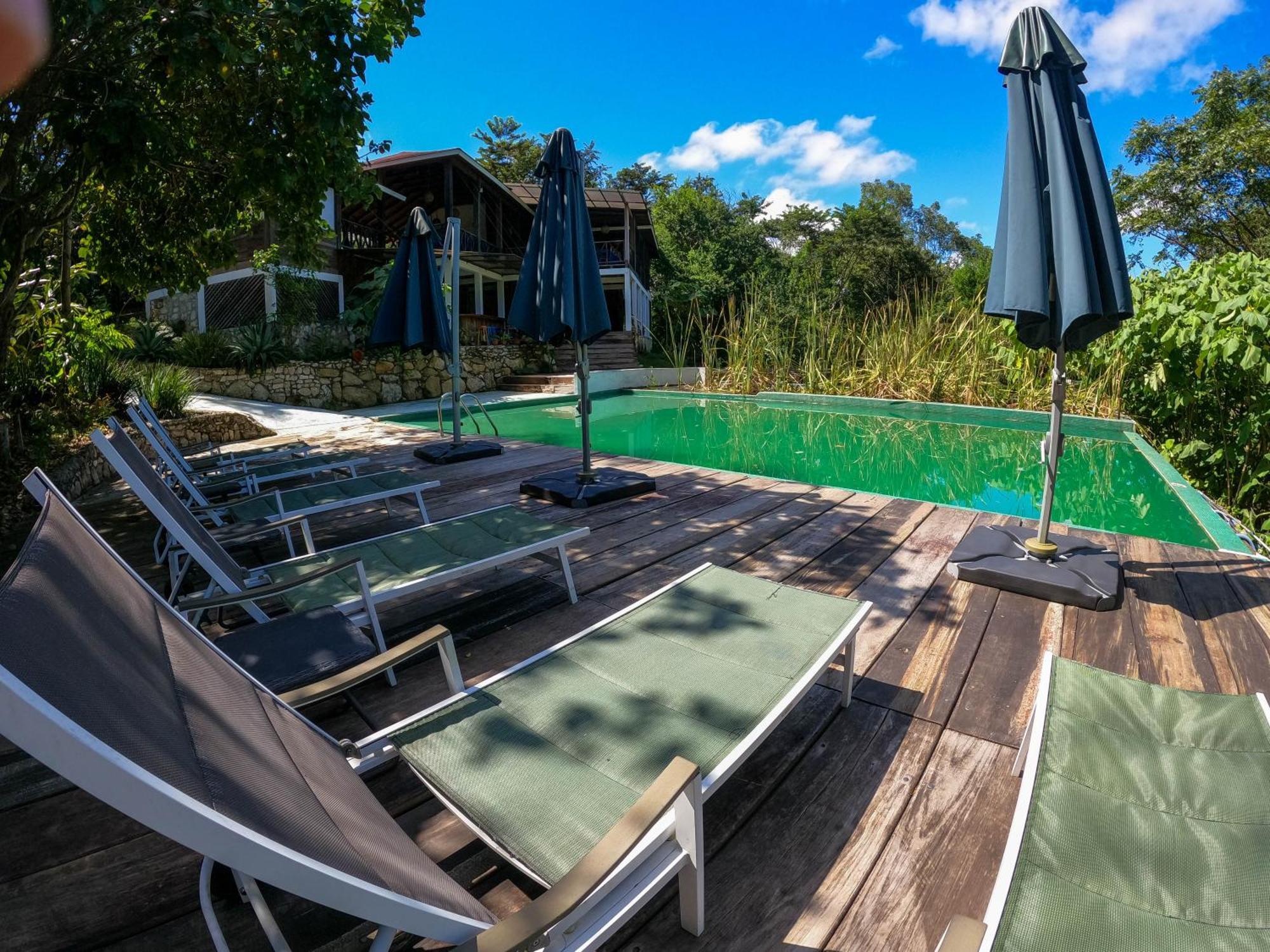 Winika Alterra Villa Palenque Eksteriør bilde